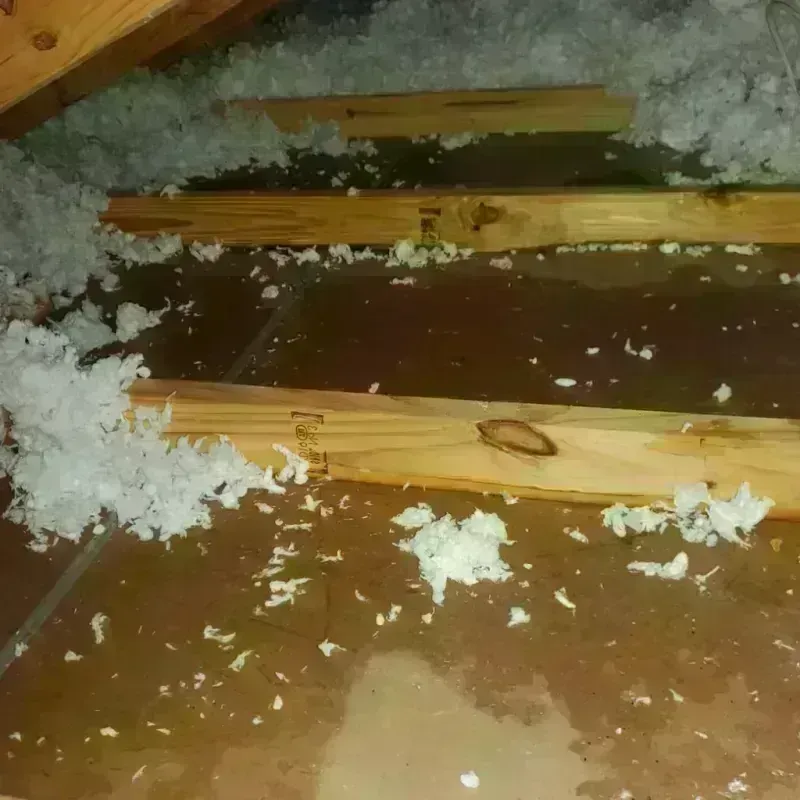 Attic Water Damage in David City, NE